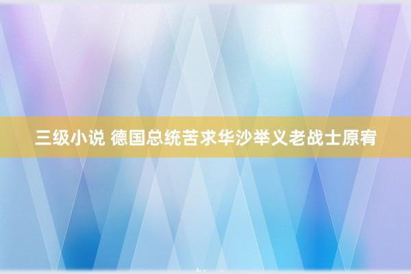 三级小说 德国总统苦求华沙举义老战士原宥