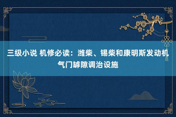 三级小说 机修必读：潍柴、锡柴和康明斯发动机气门罅隙调治设施