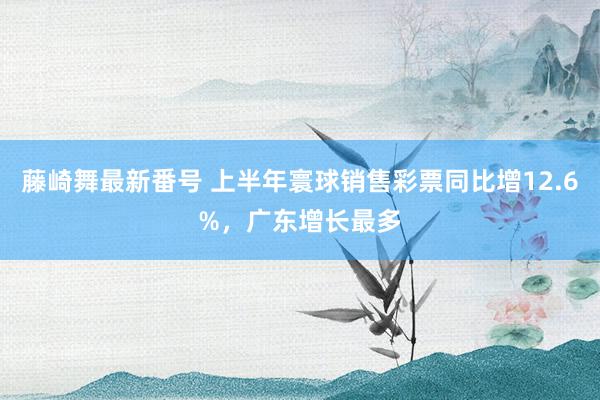 藤崎舞最新番号 上半年寰球销售彩票同比增12.6%，广东增长最多