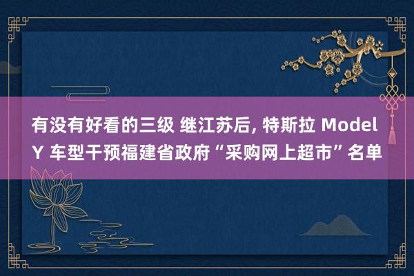 有没有好看的三级 继江苏后， 特斯拉 Model Y 车型干预福建省政府“采购网上超市”名单