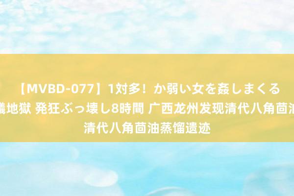 【MVBD-077】1対多！か弱い女を姦しまくる！輪姦の蟻地獄 発狂ぶっ壊し8時間 广西龙州发现清代八角茴油蒸馏遗迹