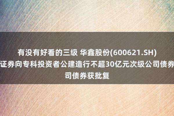 有没有好看的三级 华鑫股份(600621.SH)：华鑫证券向专科投资者公建造行不超30亿元次级公司债券获批复