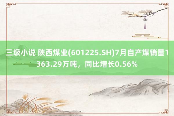 三级小说 陕西煤业(601225.SH)7月自产煤销量1363.29万吨，同比增长0.56%