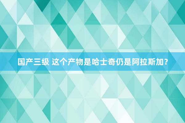 国产三级 这个产物是哈士奇仍是阿拉斯加？