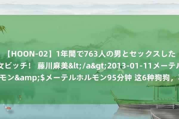 【HOON-02】1年間で763人の男とセックスした肉食系ヤリマン痴女ビッチ！ 藤川麻美</a>2013-01-11メーテルホルモン&$メーテルホルモン95分钟 这6种狗狗，不行用于看家，否则天天被盗