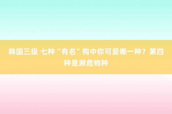 韩国三级 七种“有名”狗中你可爱哪一种？第四种是濒危物种