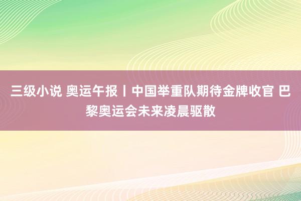 三级小说 奥运午报丨中国举重队期待金牌收官 巴黎奥运会未来凌晨驱散