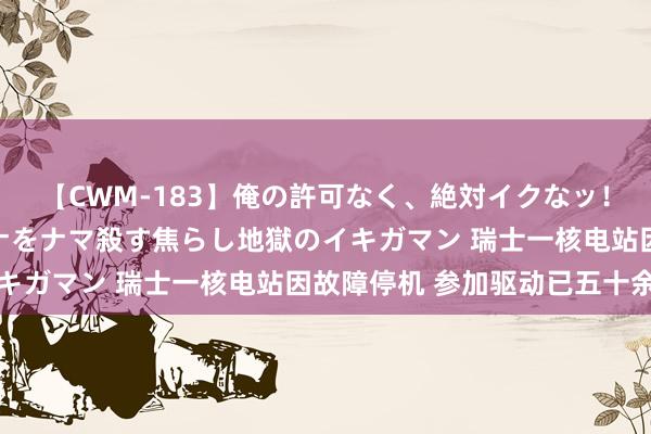 【CWM-183】俺の許可なく、絶対イクなッ！！！！！ 2 早漏オンナをナマ殺す焦らし地獄のイキガマン 瑞士一核电站因故障停机 参加驱动已五十余年