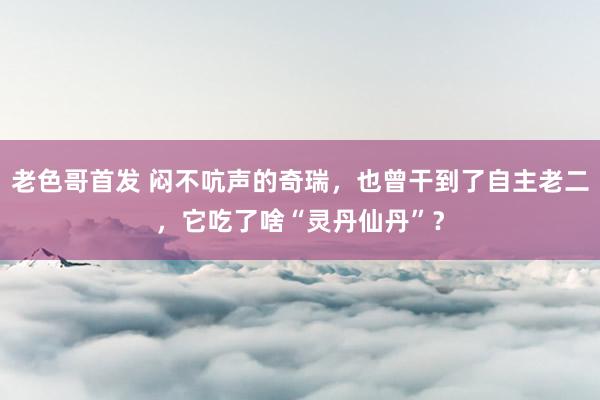 老色哥首发 闷不吭声的奇瑞，也曾干到了自主老二，它吃了啥“灵丹仙丹”？