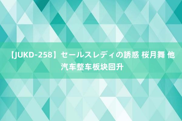 【JUKD-258】セールスレディの誘惑 桜月舞 他 汽车整车板块回升