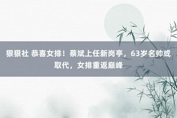 狠狠社 恭喜女排！蔡斌上任新岗亭，63岁名帅或取代，女排重返巅峰