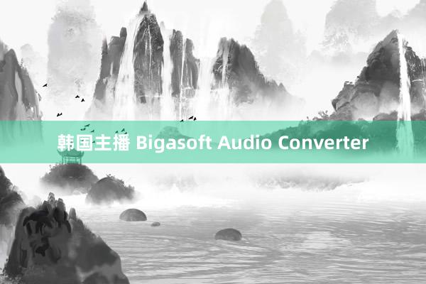 韩国主播 Bigasoft Audio Converter