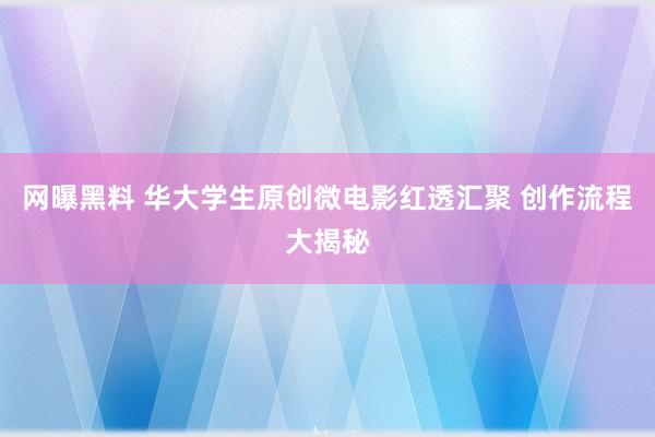 网曝黑料 华大学生原创微电影红透汇聚 创作流程大揭秘