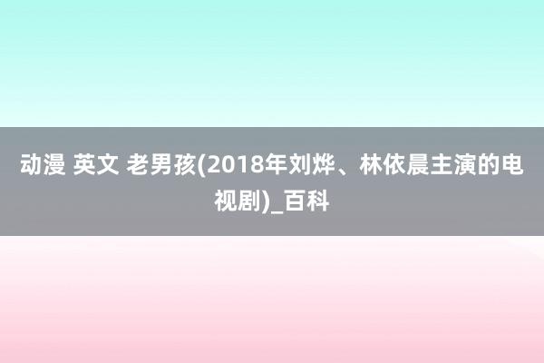 动漫 英文 老男孩(2018年刘烨、林依晨主演的电视剧)_百科