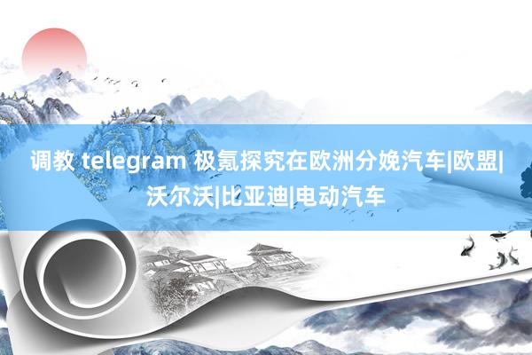 调教 telegram 极氪探究在欧洲分娩汽车|欧盟|沃尔沃|比亚迪|电动汽车